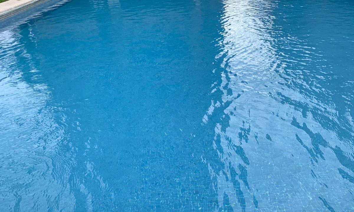 WhatsApp Image 2024-01-15 at 16.18.29