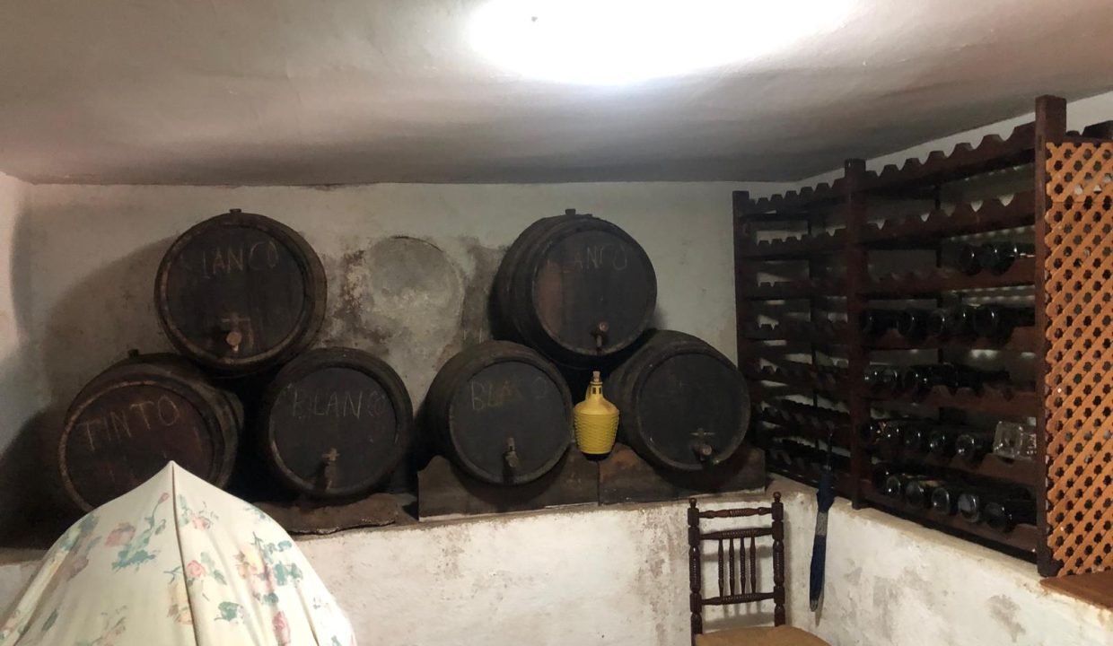 WhatsApp Image 2024-12-05 at 13.34.34 (3)