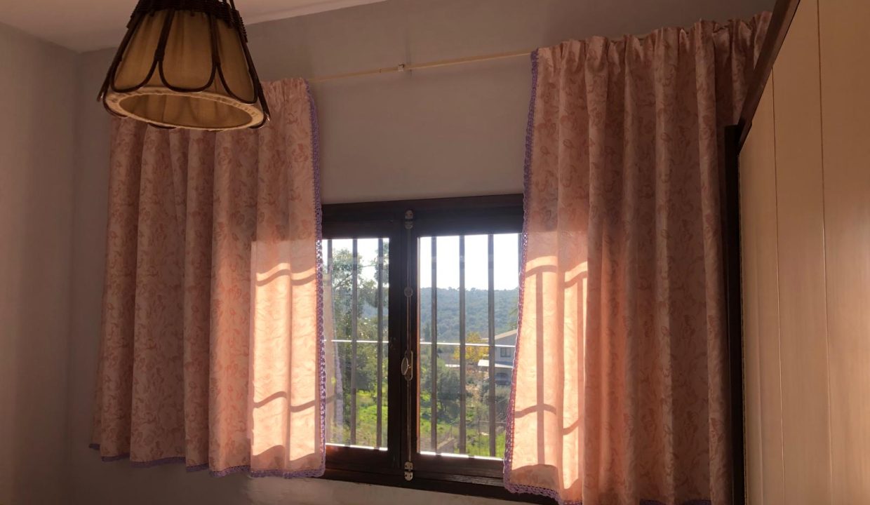 WhatsApp Image 2024-12-05 at 13.34.46